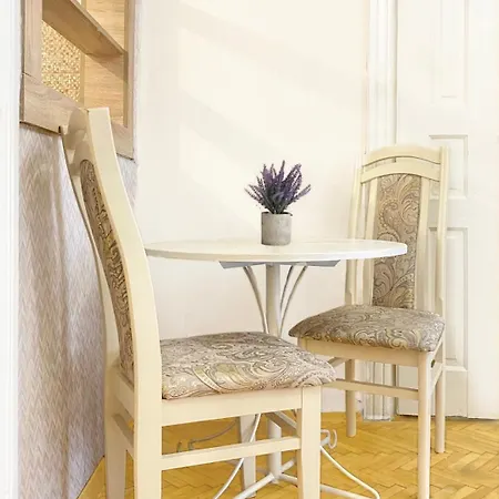 Apartment Viktoriya On Virmenska *